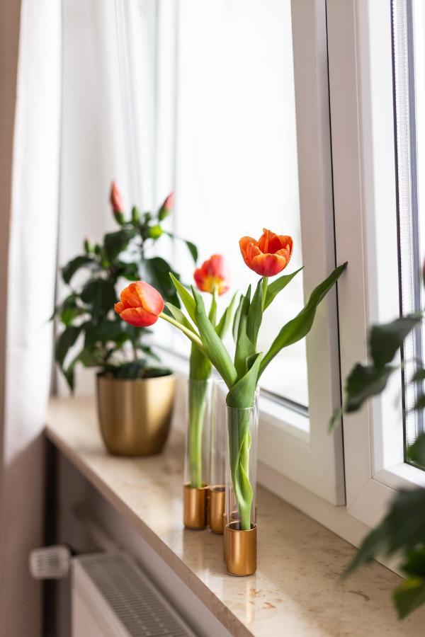 City-house-achern Homestay *