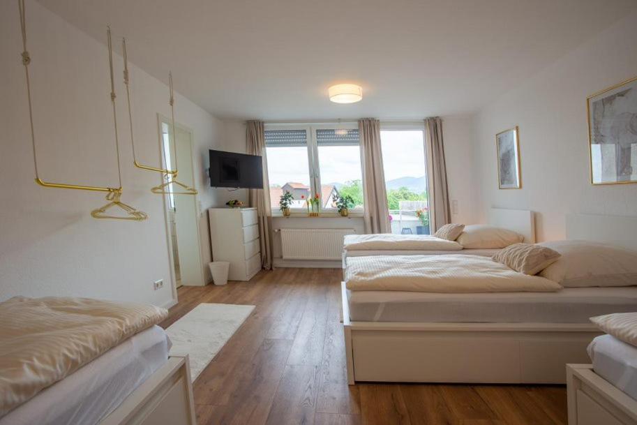City-house-achern Homestay *