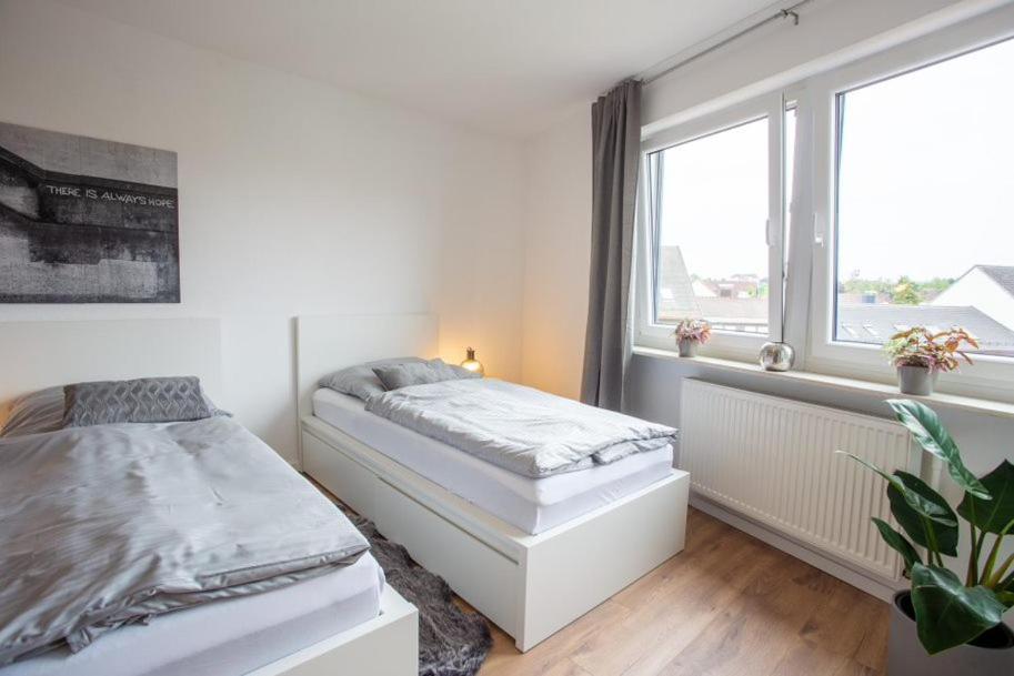 City-house-achern *