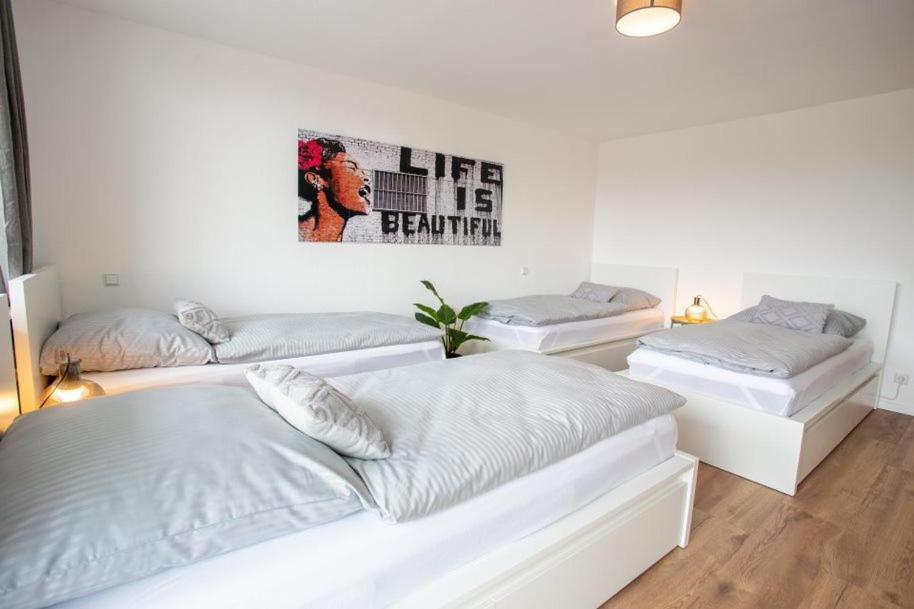 City-house-achern